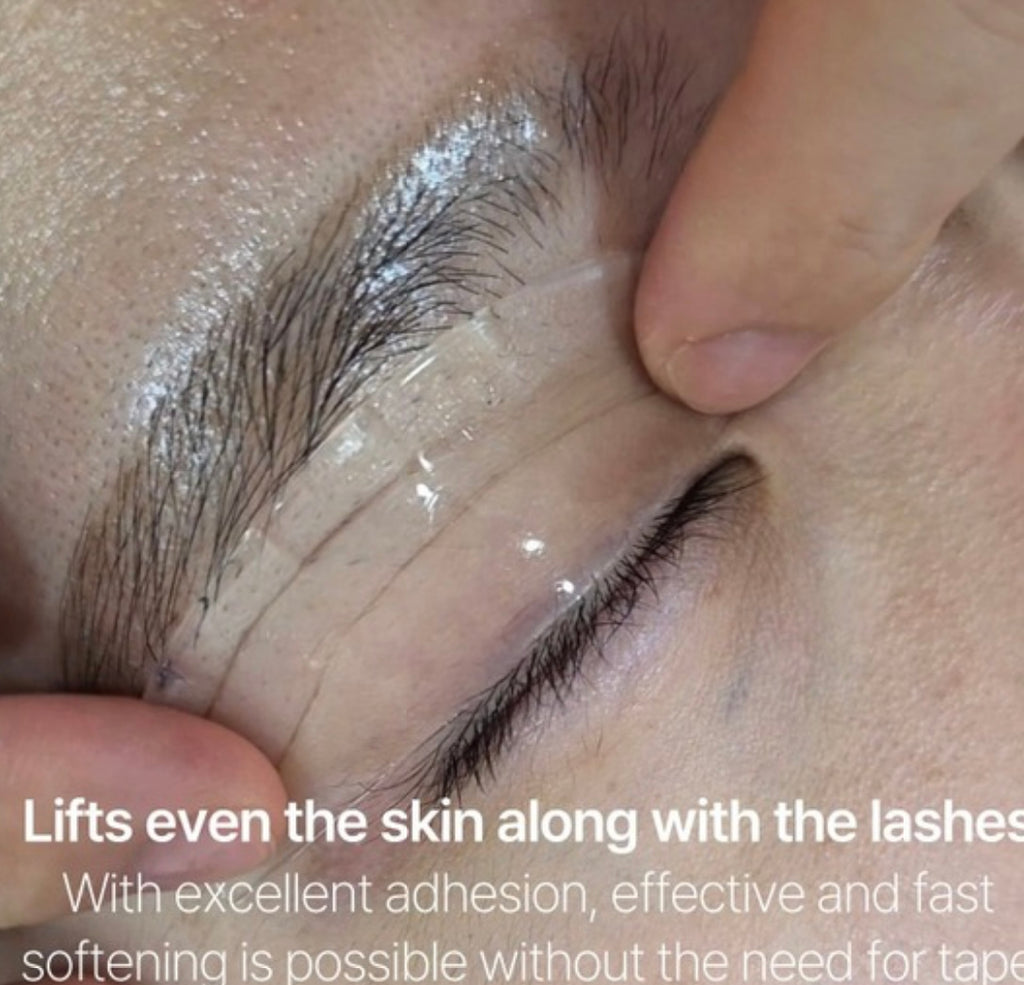 Early Shop Dumpling Flat Shield