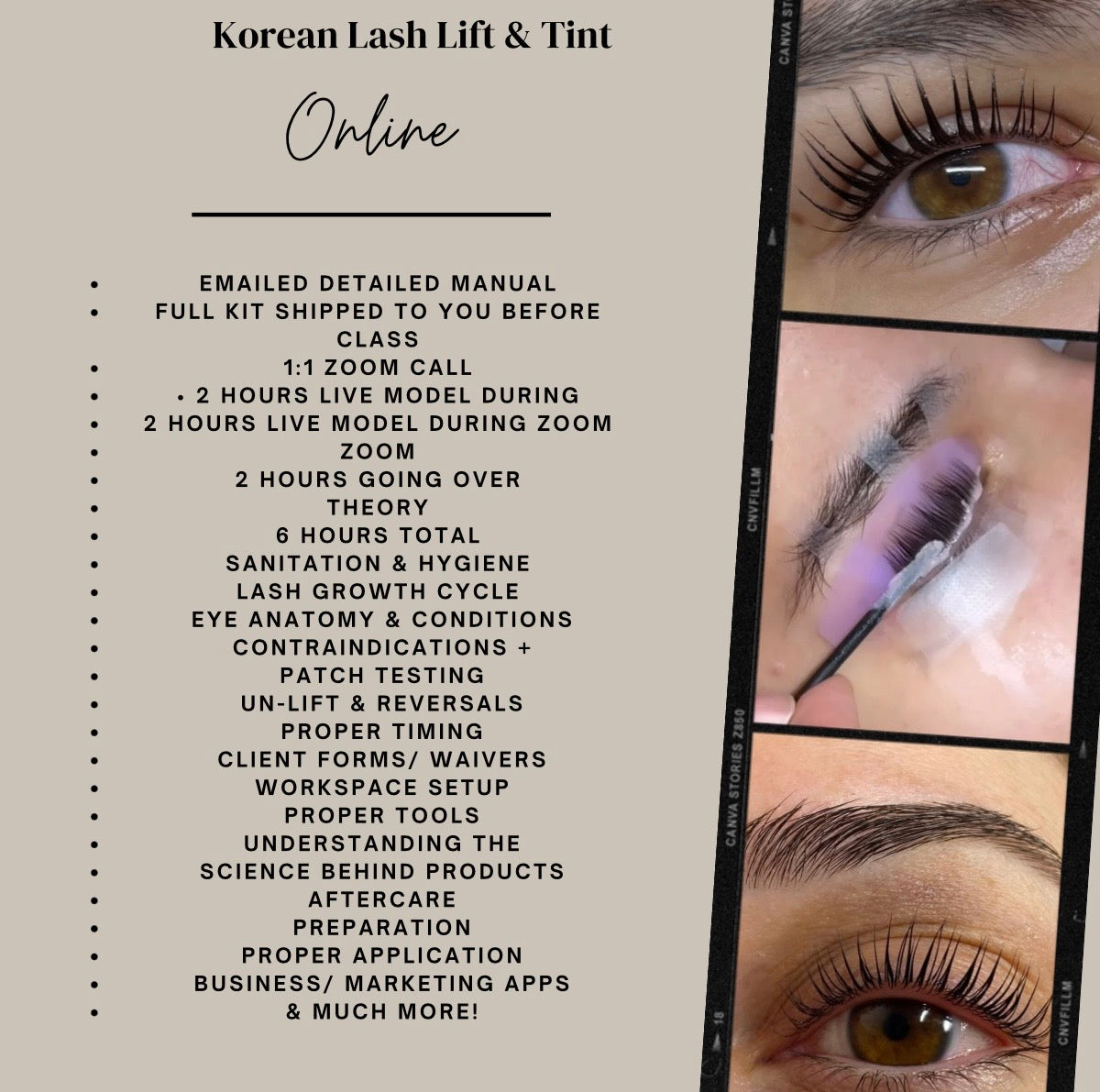 Korean Lash Lift Online Training